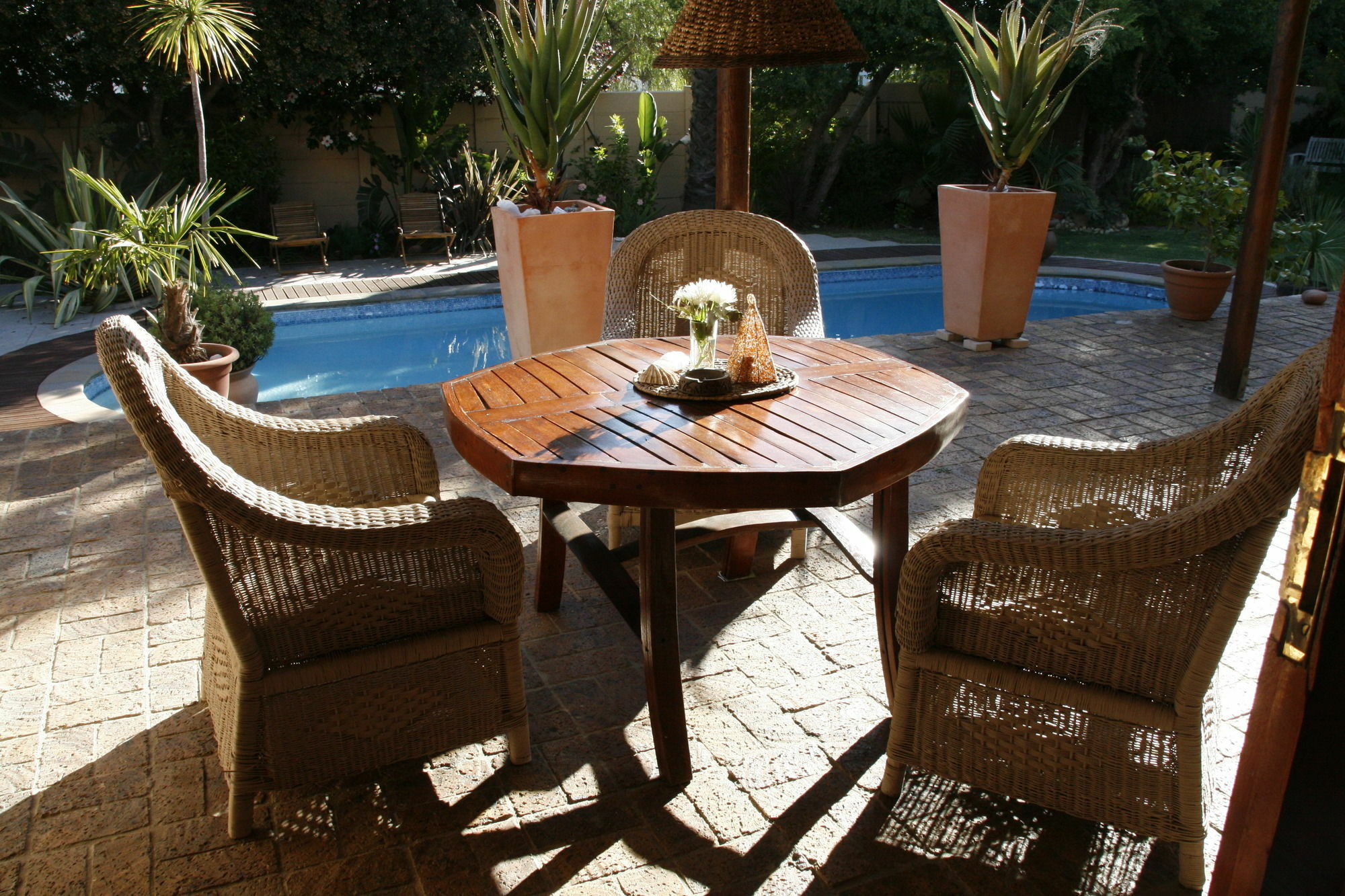 Khashamongo B & B Somerset West Eksteriør billede