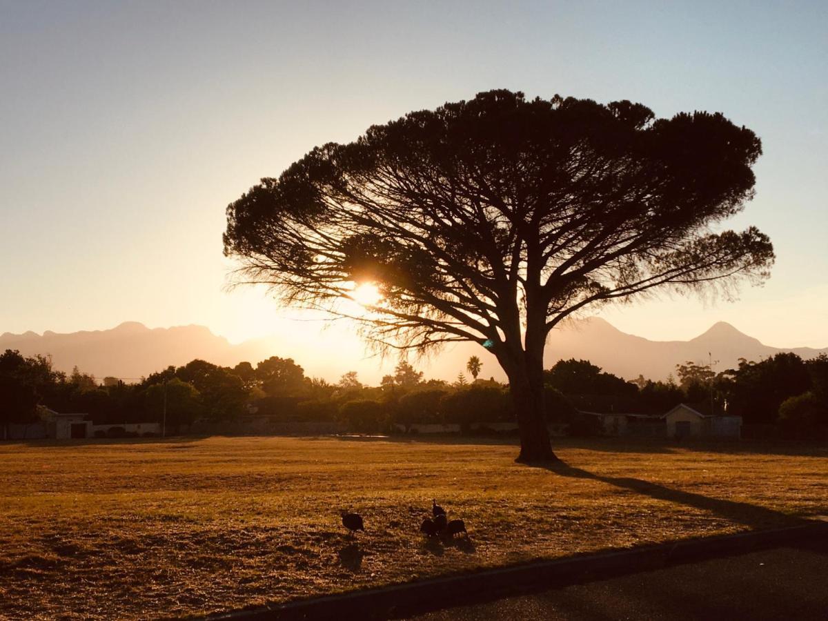 Khashamongo B & B Somerset West Eksteriør billede